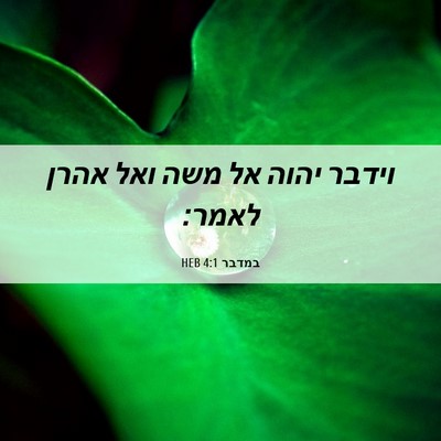 Picture 06 - במדבר 4:1 HEB - וידבר יהוה אל משה ואל אהרן - Bible Verse Picture