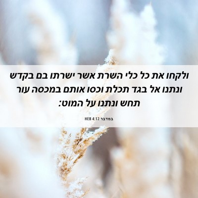 Picture 06 - במדבר 4:12 HEB - ולקחו את כל כלי השרת אשר - Bible Verse Picture