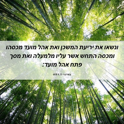 Picture 06 - במדבר 4:25 HEB - ונשאו את יריעת המשכן ואת - Bible Verse Picture