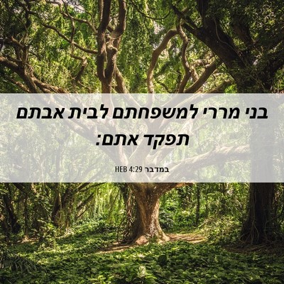 Picture 06 - במדבר 4:29 HEB - בני מררי למשפחתם לבית אבתם - Bible Verse Picture