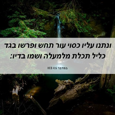 Picture 06 - במדבר 4:6 HEB - ונתנו עליו כסוי עור תחש - Bible Verse Picture