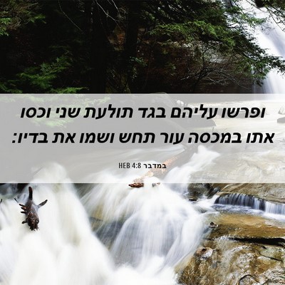 Picture 06 - במדבר 4:8 HEB - ופרשו עליהם בגד תולעת שני - Bible Verse Picture