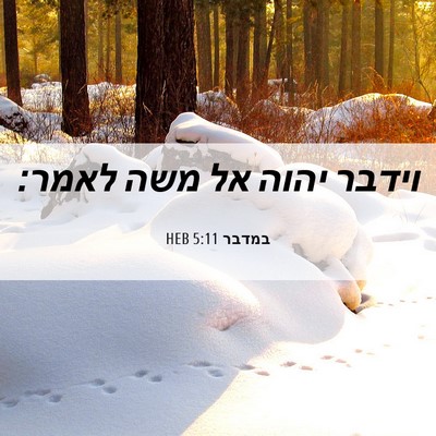 Picture 06 - במדבר 5:11 HEB - וידבר יהוה אל משה - Bible Verse Picture