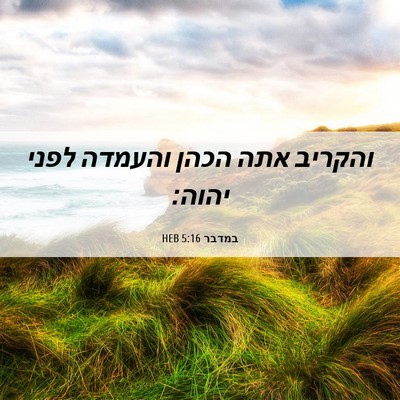 Picture 06 - במדבר 5:16 HEB - והקריב אתה הכהן והעמדה - Bible Verse Picture