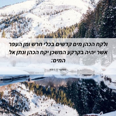 Picture 06 - במדבר 5:17 HEB - ולקח הכהן מים קדשים בכלי - Bible Verse Picture