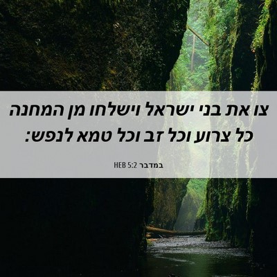 Picture 06 - במדבר 5:2 HEB - צו את בני ישראל וישלחו מן - Bible Verse Picture