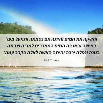 Picture 06 - במדבר 5:27 HEB - והשקה את המים והיתה אם - Bible Verse Picture
