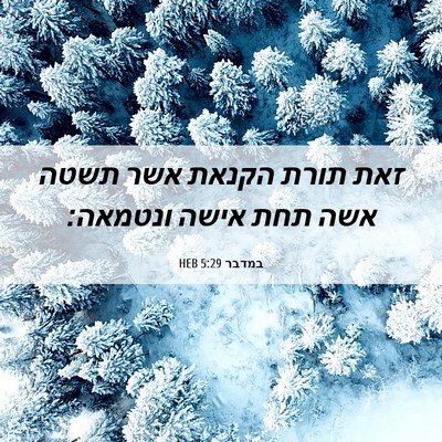 Picture 06 - במדבר 5:29 HEB - זאת תורת הקנאת אשר תשטה אשה - Bible Verse Picture