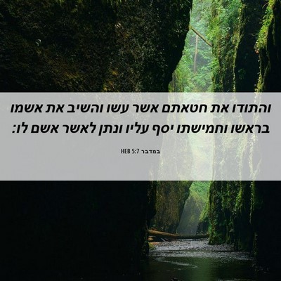 Picture 06 - במדבר 5:7 HEB - והתודו את חטאתם אשר עשו - Bible Verse Picture