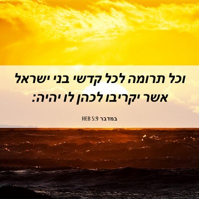 Picture 06 - במדבר 5:9 HEB - וכל תרומה לכל קדשי בני - Bible Verse Picture