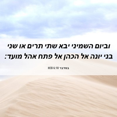 Picture 06 - במדבר 6:10 HEB - וביום השמיני יבא שתי תרים - Bible Verse Picture