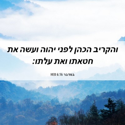 Picture 06 - במדבר 6:16 HEB - והקריב הכהן לפני יהוה ועשה - Bible Verse Picture