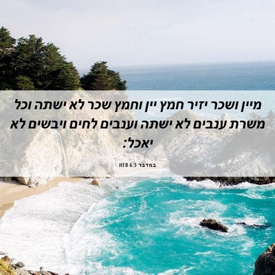 Picture 06 - במדבר 6:3 HEB - מיין ושכר יזיר חמץ יין וחמץ - Bible Verse Picture