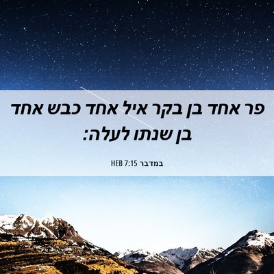 Picture 06 - במדבר 7:15 HEB - פר אחד בן בקר איל אחד כבש - Bible Verse Picture