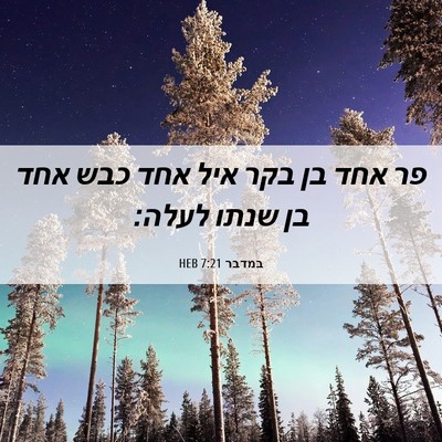 Picture 06 - במדבר 7:21 HEB - פר אחד בן בקר איל אחד כבש - Bible Verse Picture