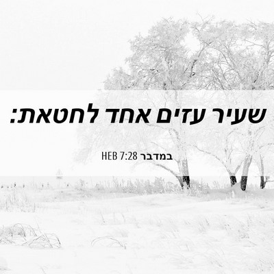 Picture 06 - במדבר 7:28 HEB - שעיר עזים אחד - Bible Verse Picture