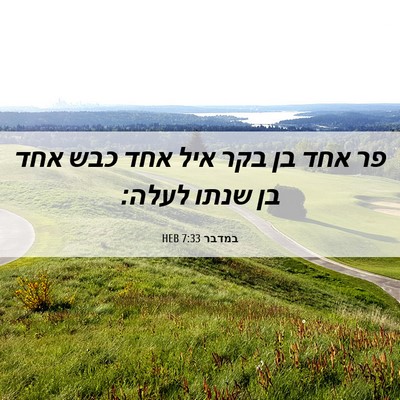 Picture 06 - במדבר 7:33 HEB - פר אחד בן בקר איל אחד כבש - Bible Verse Picture