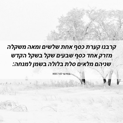 Picture 06 - במדבר 7:43 HEB - קרבנו קערת כסף אחת שלשים - Bible Verse Picture