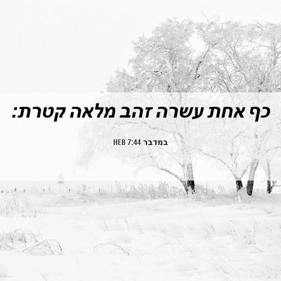 Picture 06 - במדבר 7:44 HEB - כף אחת עשרה זהב מלאה - Bible Verse Picture