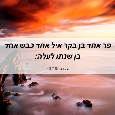 Picture 06 - במדבר 7:45 HEB - פר אחד בן בקר איל אחד כבש - Bible Verse Picture