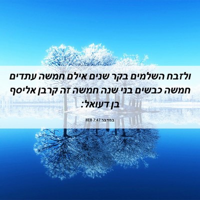 Picture 06 - במדבר 7:47 HEB - ולזבח השלמים בקר שנים אילם - Bible Verse Picture