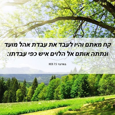 Picture 06 - במדבר 7:5 HEB - קח מאתם והיו לעבד את עבדת - Bible Verse Picture