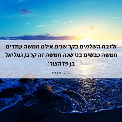 Picture 06 - במדבר 7:59 HEB - ולזבח השלמים בקר שנים אילם - Bible Verse Picture