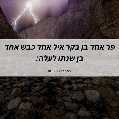 Picture 06 - במדבר 7:63 HEB - פר אחד בן בקר איל אחד כבש - Bible Verse Picture
