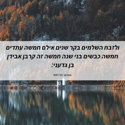 Picture 06 - במדבר 7:65 HEB - ולזבח השלמים בקר שנים אילם - Bible Verse Picture