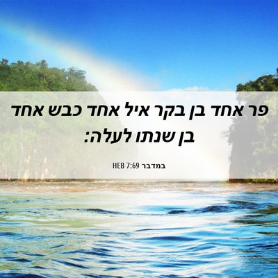 Picture 06 - במדבר 7:69 HEB - פר אחד בן בקר איל אחד כבש - Bible Verse Picture