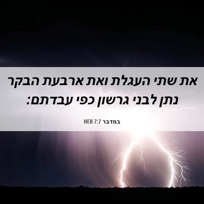 Picture 06 - במדבר 7:7 HEB - את שתי העגלת ואת ארבעת הבקר - Bible Verse Picture