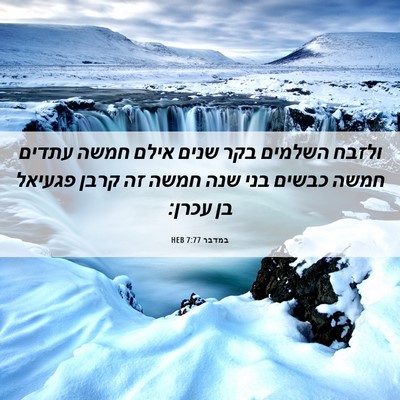 Picture 06 - במדבר 7:77 HEB - ולזבח השלמים בקר שנים אילם - Bible Verse Picture