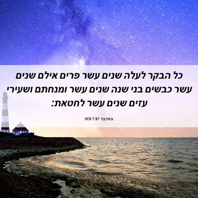 Picture 06 - במדבר 7:87 HEB - כל הבקר לעלה שנים עשר פרים - Bible Verse Picture