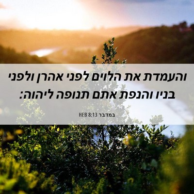 Picture 06 - במדבר 8:13 HEB - והעמדת את הלוים לפני אהרן - Bible Verse Picture