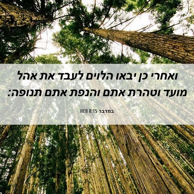 Picture 06 - במדבר 8:15 HEB - ואחרי כן יבאו הלוים לעבד את - Bible Verse Picture