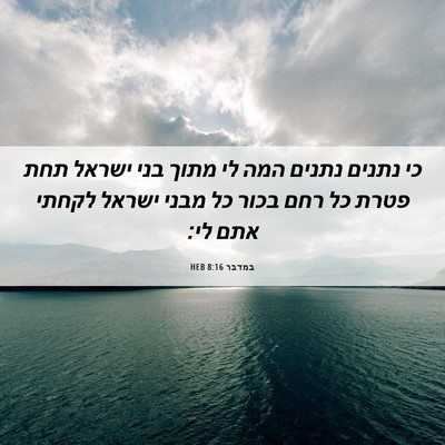 Picture 06 - במדבר 8:16 HEB - כי נתנים נתנים המה לי מתוך - Bible Verse Picture