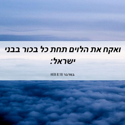 Picture 06 - במדבר 8:18 HEB - ואקח את הלוים תחת כל בכור - Bible Verse Picture