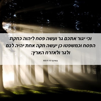 Picture 06 - במדבר 9:14 HEB - וכי יגור אתכם גר ועשה פסח - Bible Verse Picture
