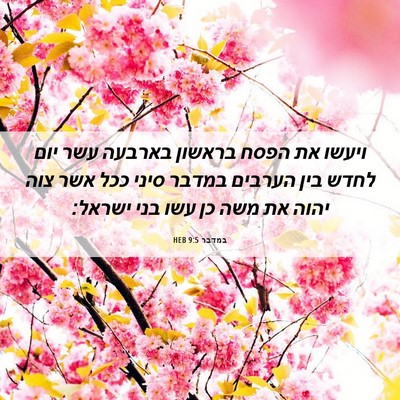 Picture 06 - במדבר 9:5 HEB - ויעשו את הפסח בראשון - Bible Verse Picture