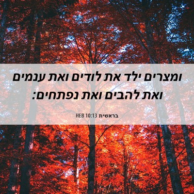 Picture 06 - בראשית 10:13 HEB - ומצרים ילד את לודים ואת - Bible Verse Picture