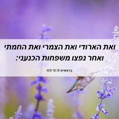 Picture 06 - בראשית 10:18 HEB - ואת הארודי ואת הצמרי ואת - Bible Verse Picture