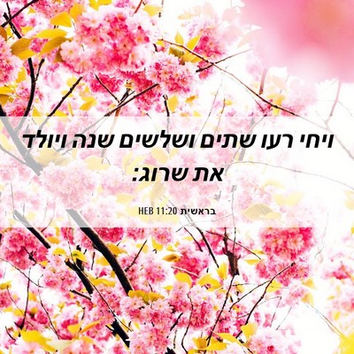 Picture 06 - בראשית 11:20 HEB - ויחי רעו שתים ושלשים שנה - Bible Verse Picture