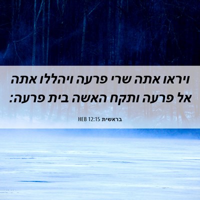 Picture 06 - בראשית 12:15 HEB - ויראו אתה שרי פרעה ויהללו - Bible Verse Picture