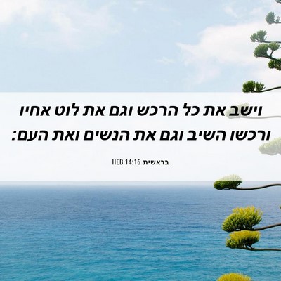 Picture 06 - בראשית 14:16 HEB - וישב את כל הרכש וגם את לוט - Bible Verse Picture