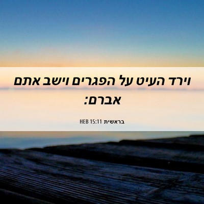 Picture 06 - בראשית 15:11 HEB - וירד העיט על הפגרים וישב - Bible Verse Picture