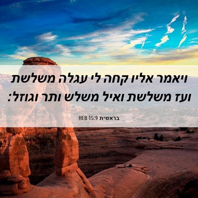 Picture 06 - בראשית 15:9 HEB - ויאמר אליו קחה לי עגלה - Bible Verse Picture