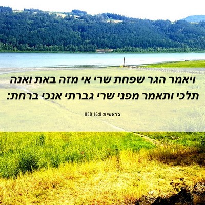 Picture 06 - בראשית 16:8 HEB - ויאמר הגר שפחת שרי אי מזה - Bible Verse Picture