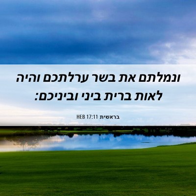 Picture 06 - בראשית 17:11 HEB - ונמלתם את בשר ערלתכם והיה - Bible Verse Picture