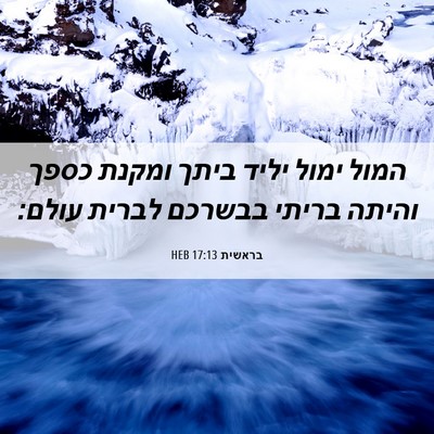 Picture 06 - בראשית 17:13 HEB - המול ימול יליד ביתך ומקנת - Bible Verse Picture