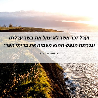 Picture 06 - בראשית 17:14 HEB - וערל זכר אשר לא ימול את בשר - Bible Verse Picture